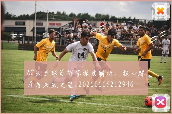 AC米兰球员阵容深度解析:核心球员与未来之星_20260605212946